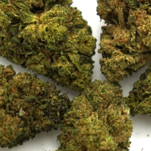 White Widow