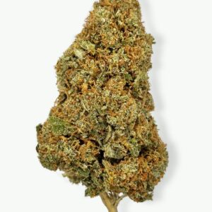 Gorilla glue