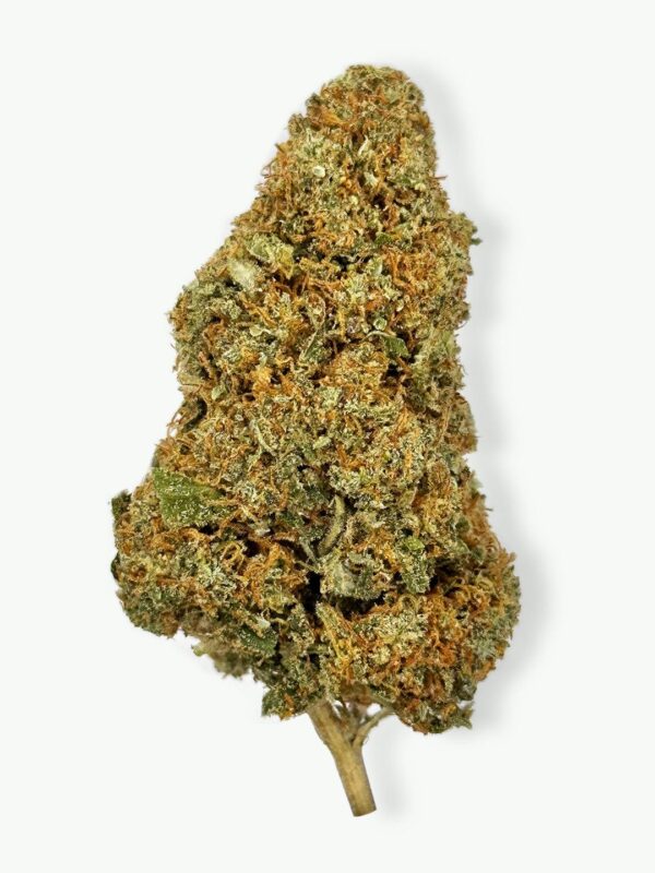 Gorilla glue